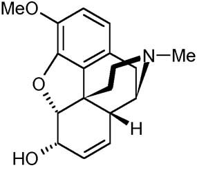 Darvocet Detection Darvocet Treatment Overdose