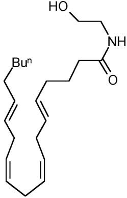 anandamide